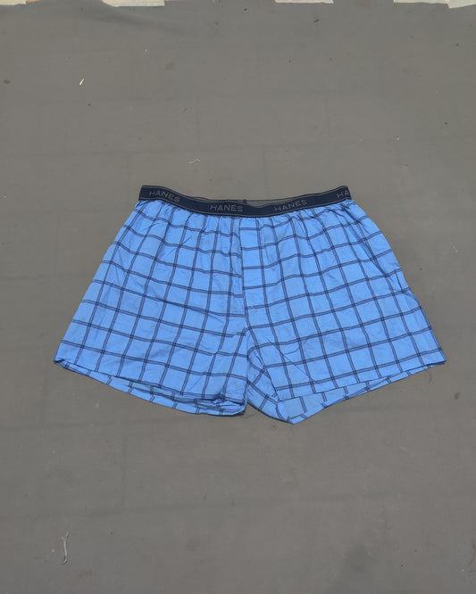 Hanes Men Sport Blue Underwear