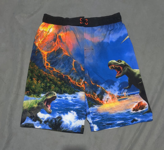 Wonder Nation Men Sport Blue Short