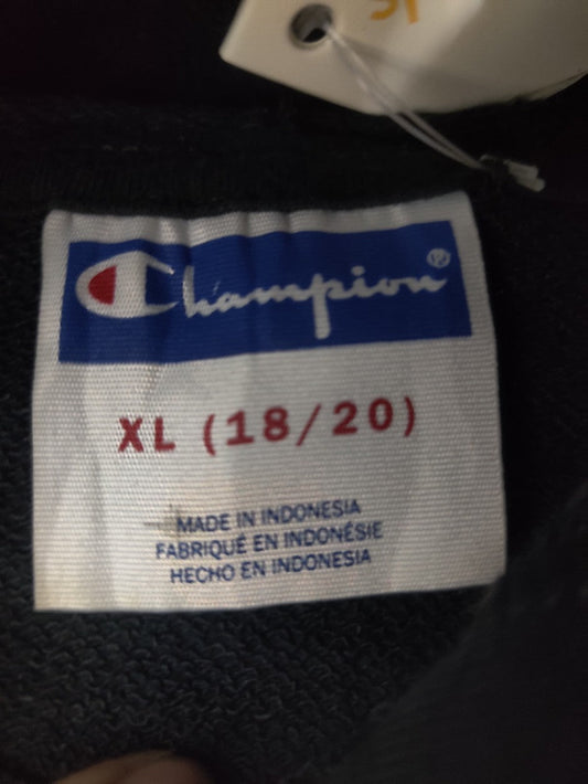 Champion Brand For Men Winter Hoodie Plw1536