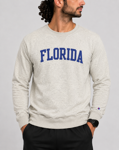 Champion Men Cotton Fleece Blue Sweatshirt M