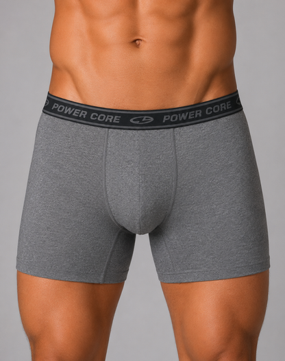 Champion Men Sport Gray Underwear