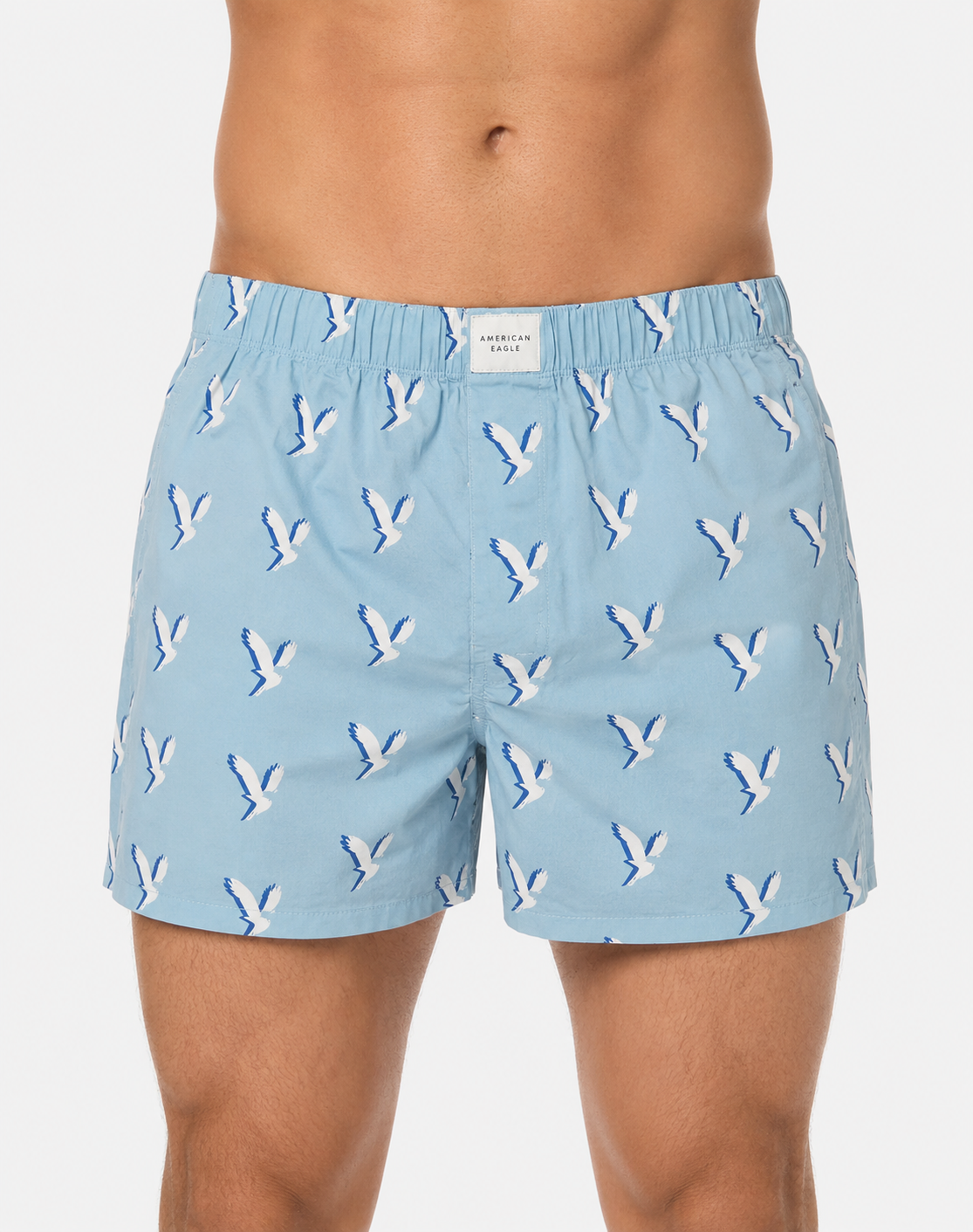 American Eagle Men Sport Blue Underwear