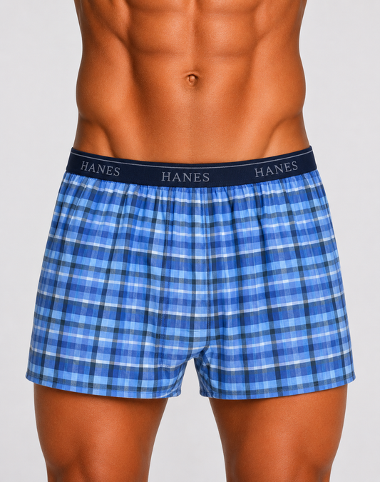 Hanes Men Blue Underwear