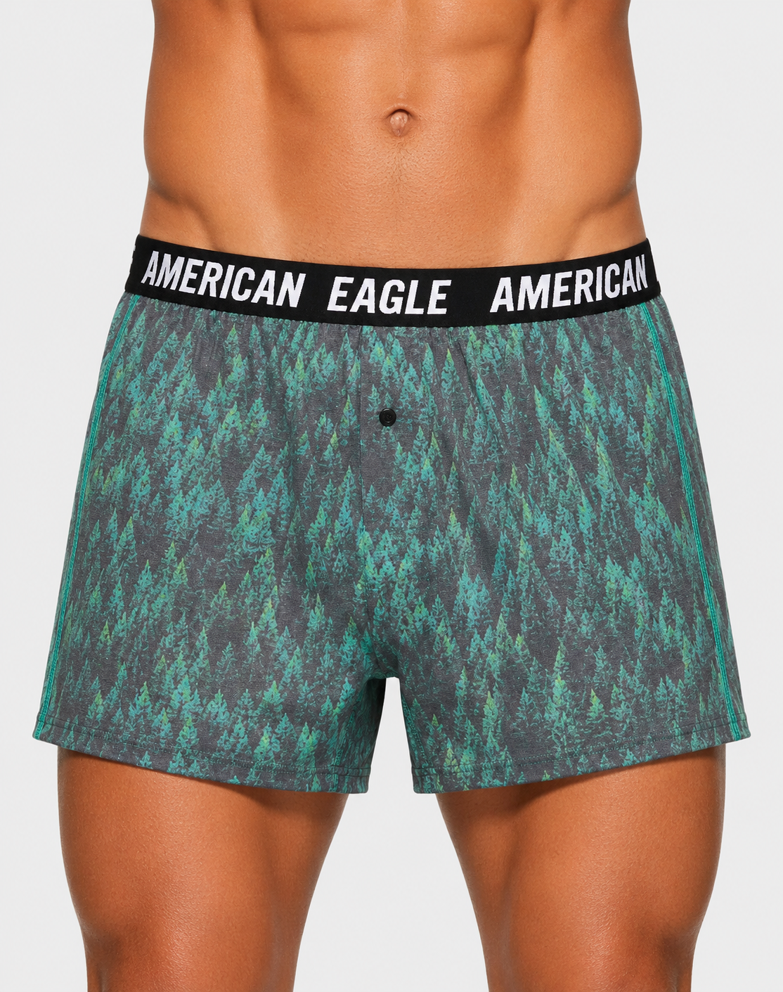 American Eagle Men Sport Green Underwear