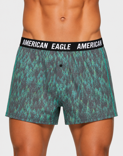 American Eagle Men Sport Green Underwear