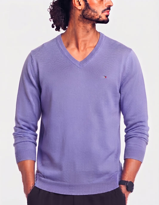 Tommy Hilfiger Men Blue Sweater L – Preloved Labels