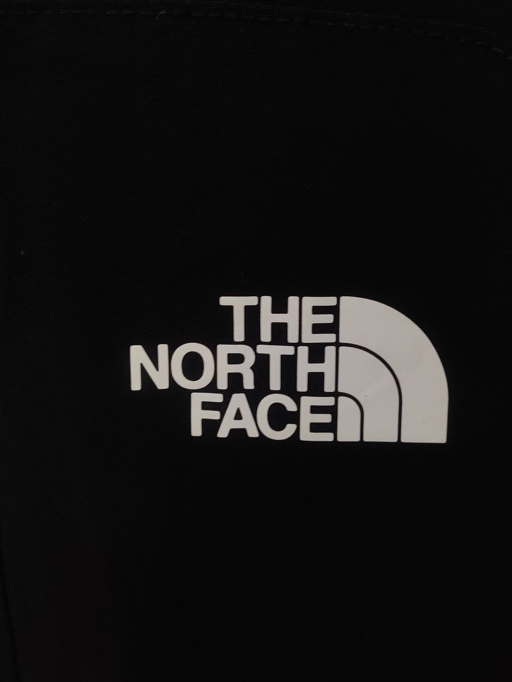 The North Face Branded Original Cotton Short For Men