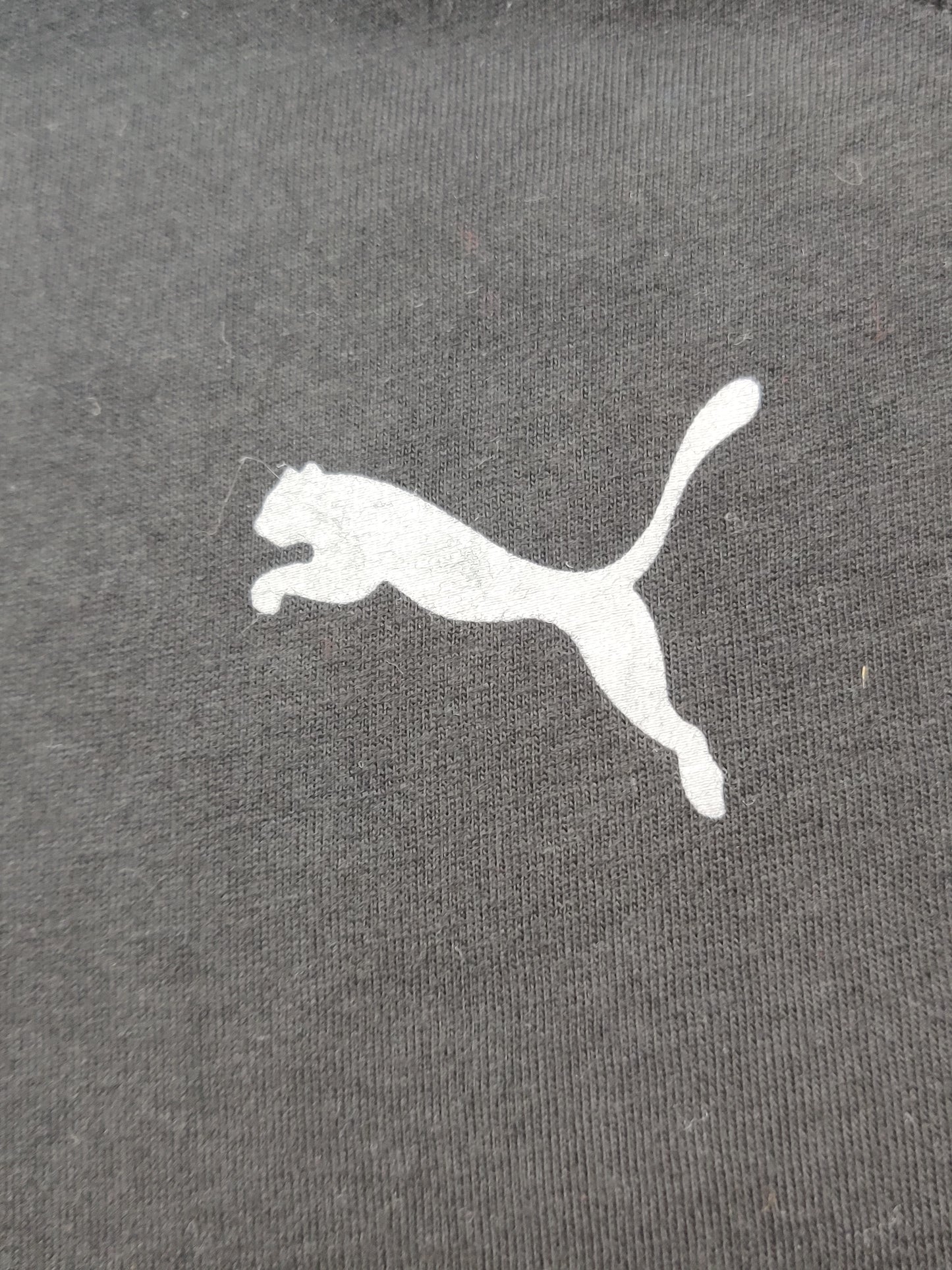 Puma Ducati Branded Original Cotton T Shirt For Men