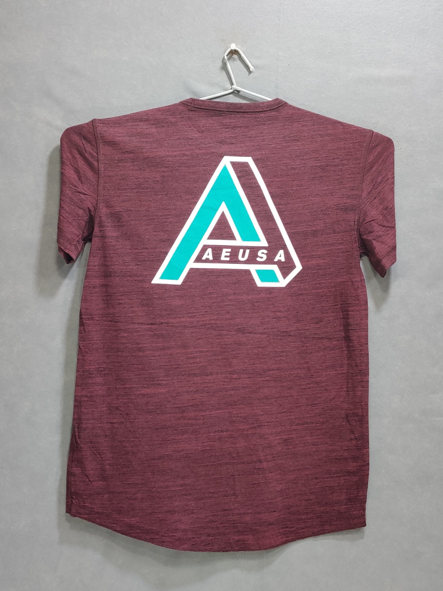American Eagle Branded Original Mehrun Cotton T Shirt For Men
