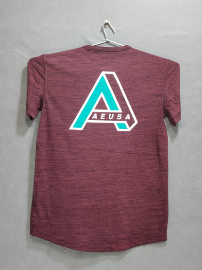 American Eagle Branded Original Mehrun Cotton T Shirt For Men