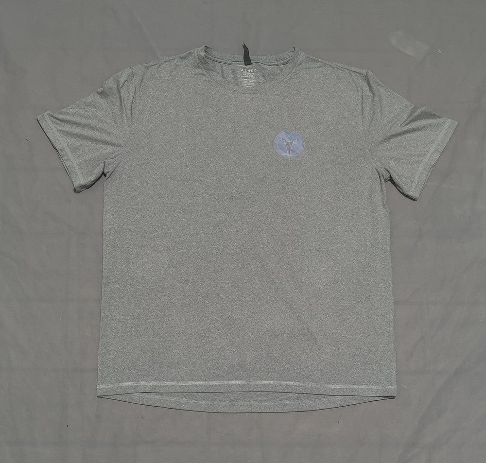 Asher Men Sport Gray T Shirt