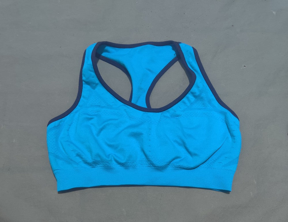 Hanes Women Sport Blue Bra
