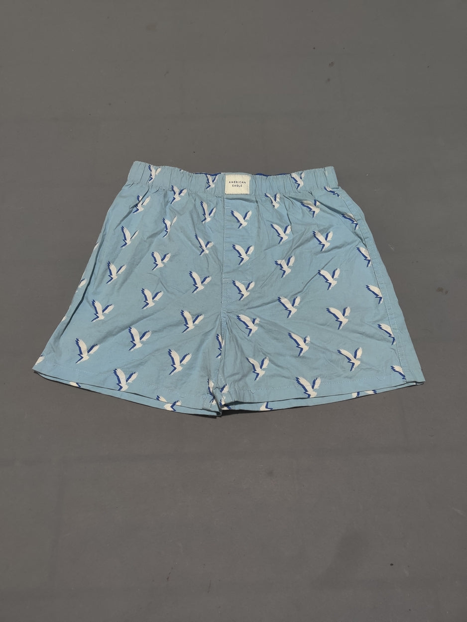 American Eagle Men Sport Blue Underwear