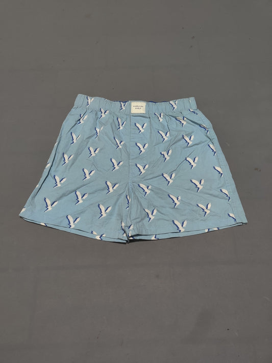 American Eagle Men Sport Blue Underwear