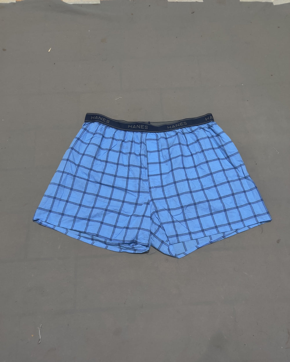 Hanes Men Sport Blue Underwear