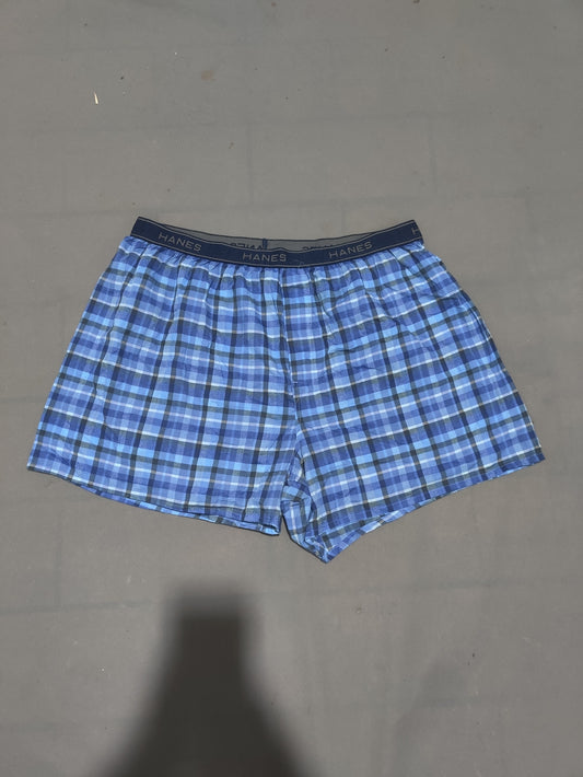 Hanes Men Blue Underwear