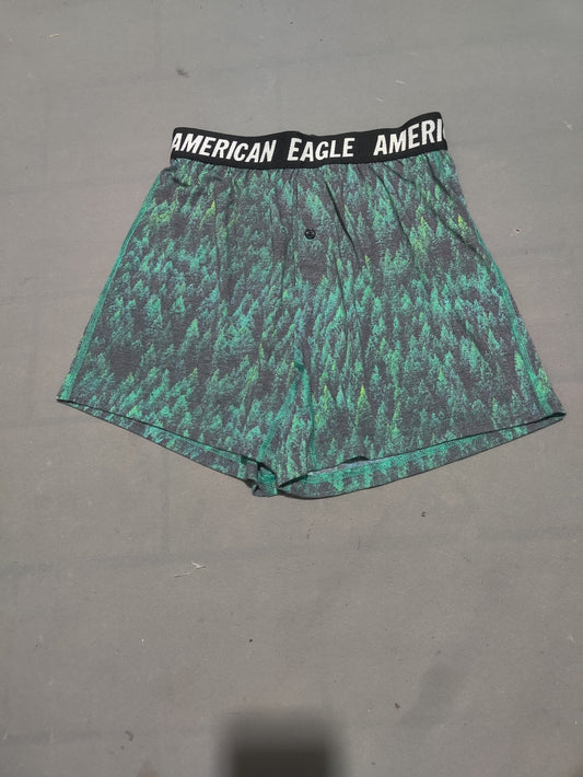 American Eagle Men Sport Green Underwear