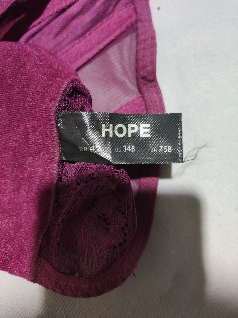 Hope Women Maroon Sport Bra
