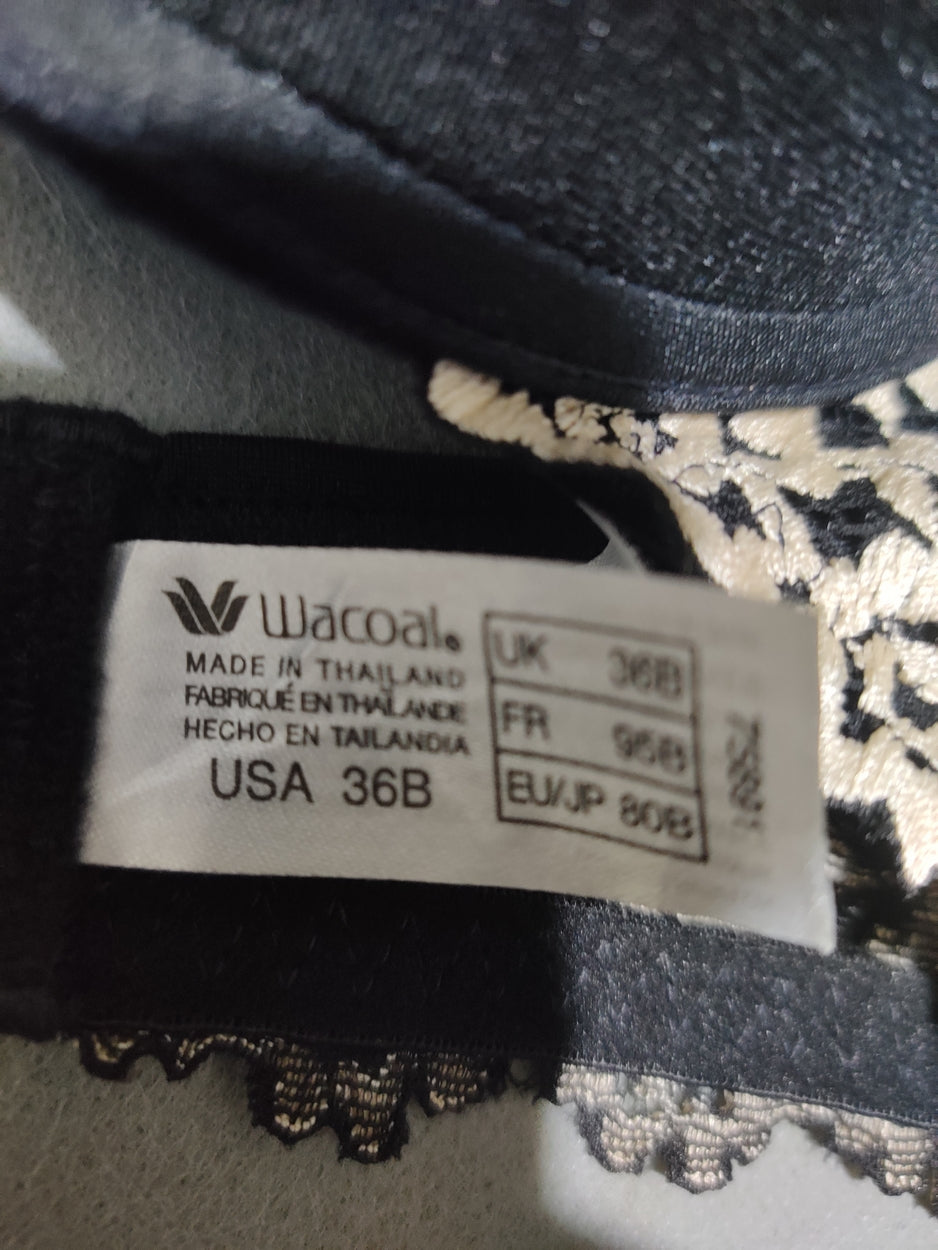 Wacoal Women Black Sport Bra