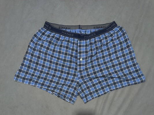 Hanes Men Blue Underwear