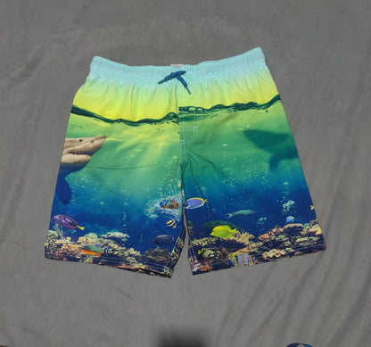 Wonder Nation Men Sport Blue Short