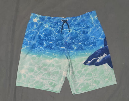 Wonder Nation Men Sport Blue Short
