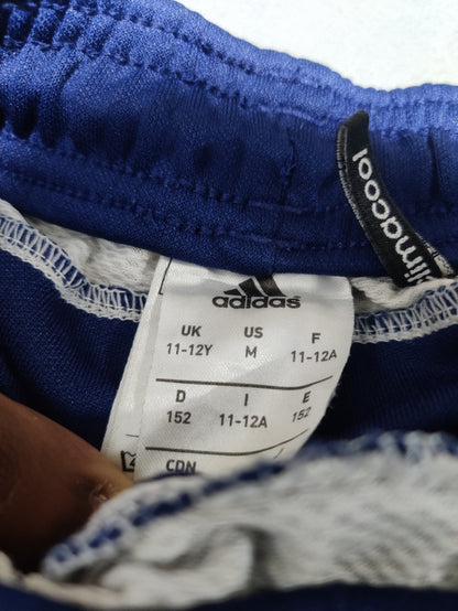 Adidas Men Sport Blue Trouser