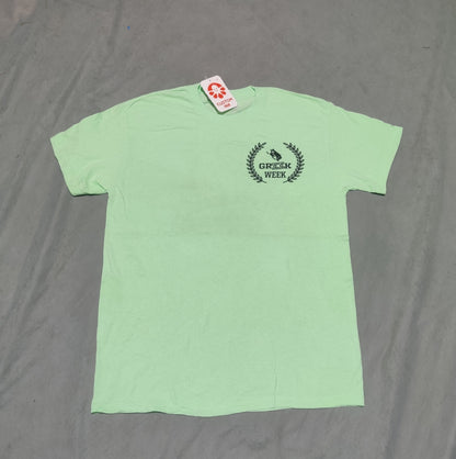 Gildan Men Cotton Green T Shirt M
