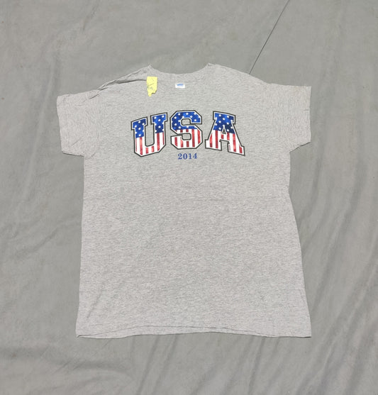USA Men Cotton Gray T Shirt L