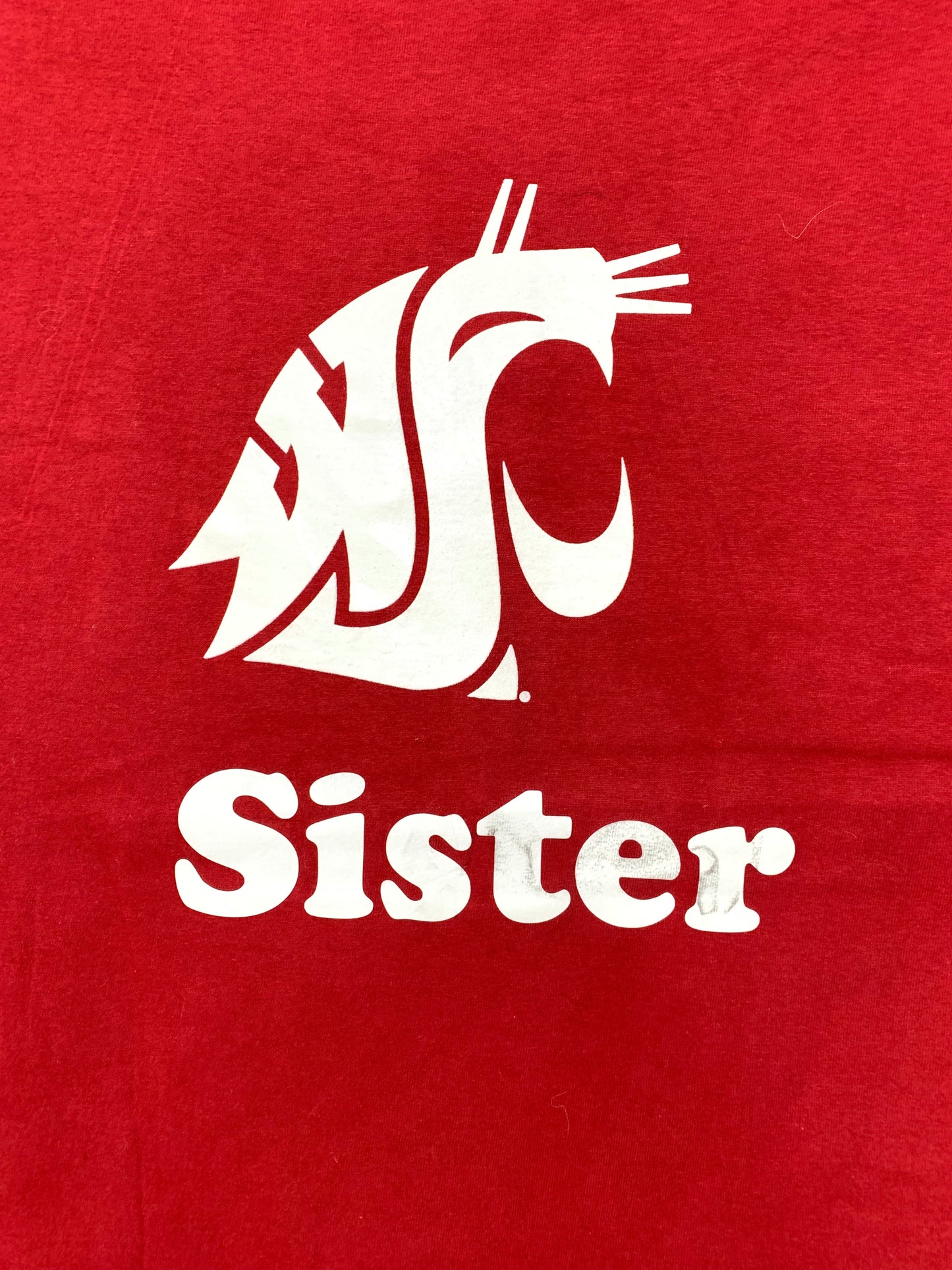 Champion Branded Original Cotton T Shirt For Men