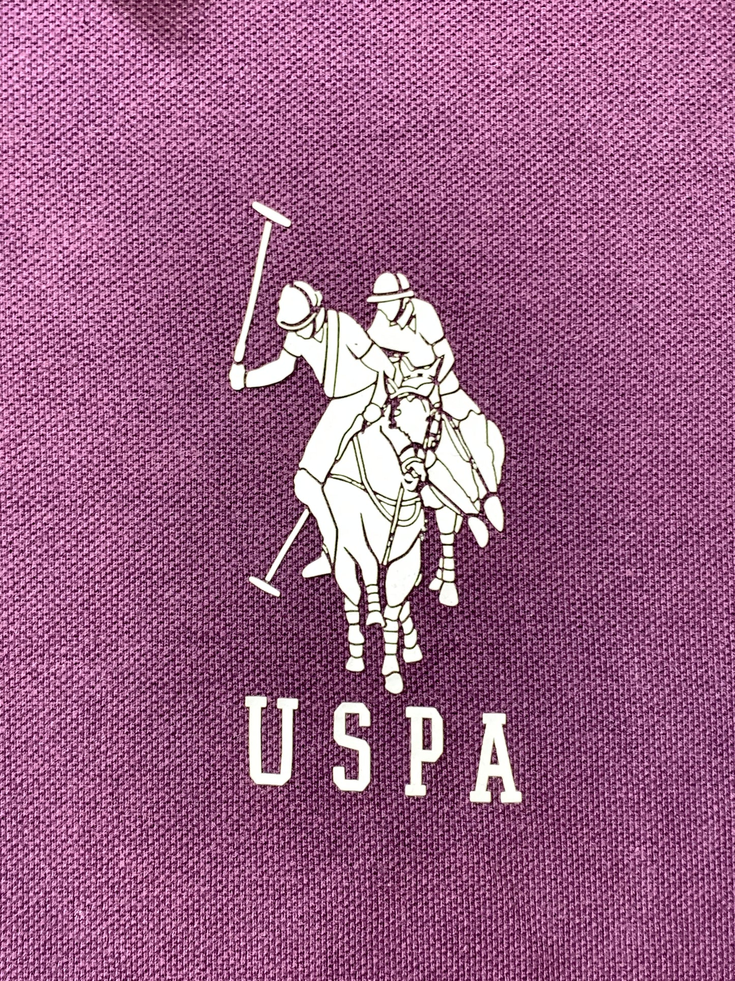 U.S POLO ASSN Purple Cotton Polo T Shirt For Men Large