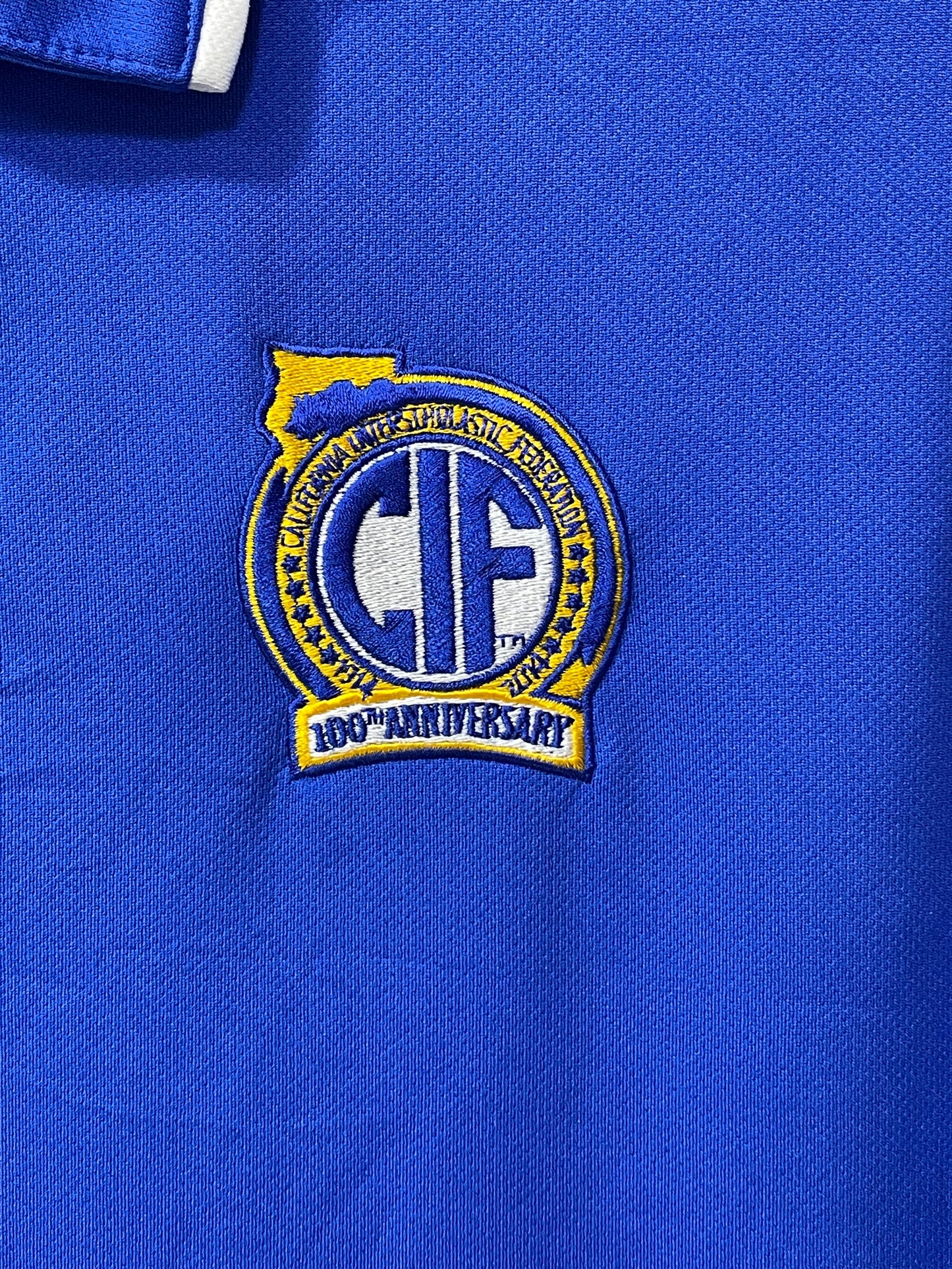 Nike Blue Sport Polo T Shirt For Men XL