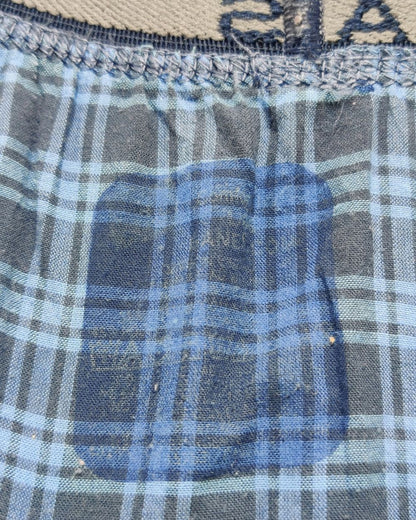 Hanes Blue Underwear For Men Large