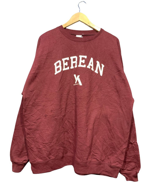 Hanes Sweatshirt for Men