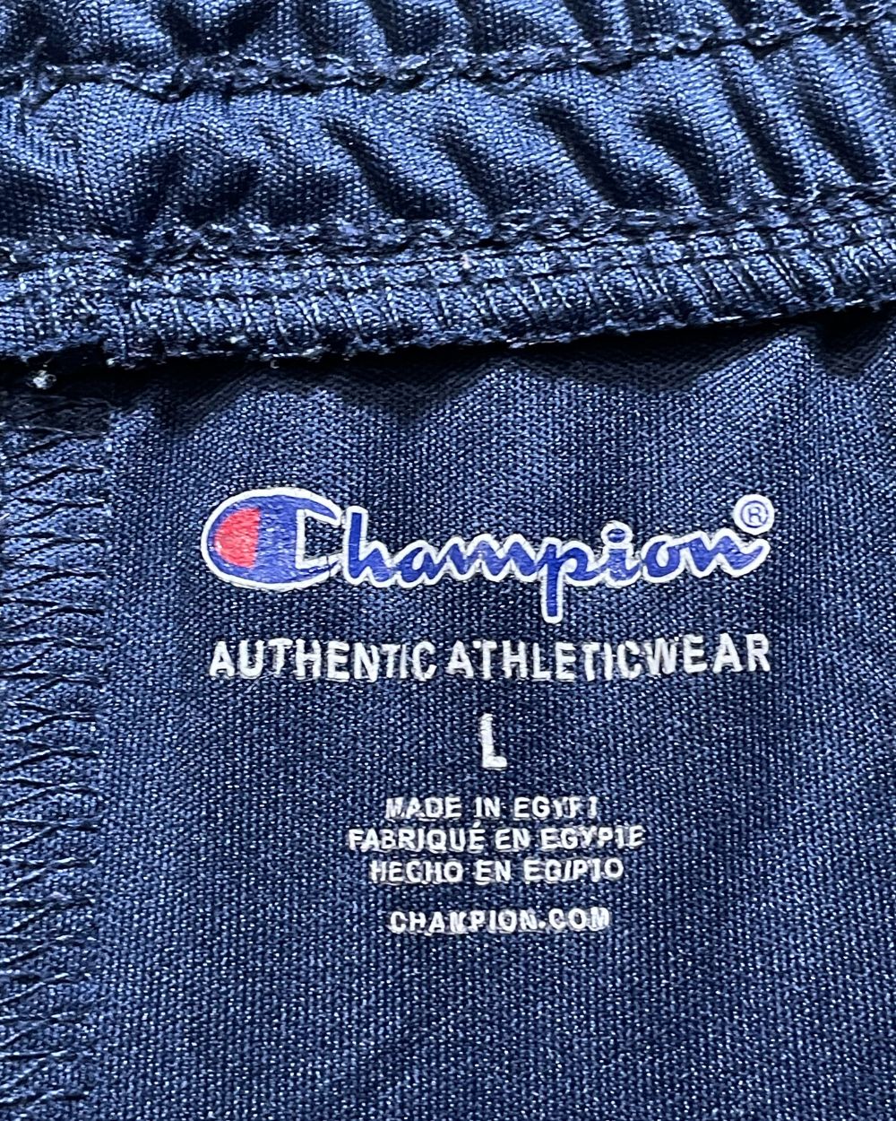 Champion Blue Sport Short For Men L | Preloved Labels