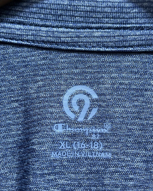 Champion Purple Sport Polo T Shirt For Men Small | Preloved Labels