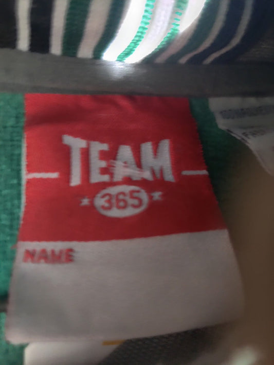 Team 365 Brand For Men Winter Hoodie Plw1388